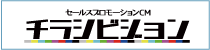 チラシビジョン
